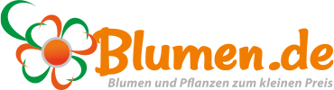 Blumen.de Logo